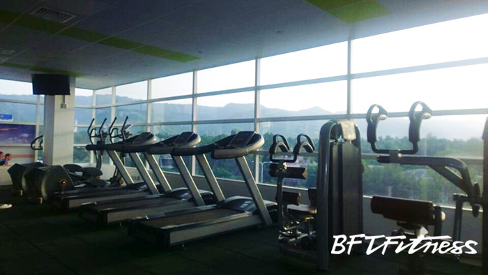 Pakistan Customer Gymnasium Case Chart Bofett Fitness Equipment Manufacturer